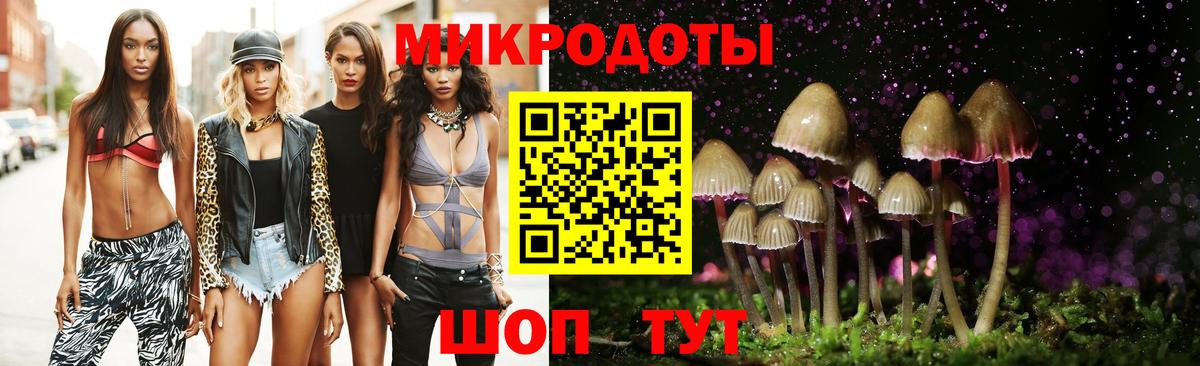 Псилоцибиновые грибы GOLDEN TEACHER  магазин продажи наркотиков  Усолье-Сибирское  Вход с VPN 